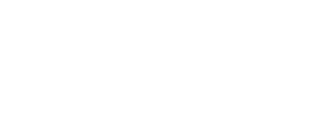 HR Innovator Group Logo White + transparent